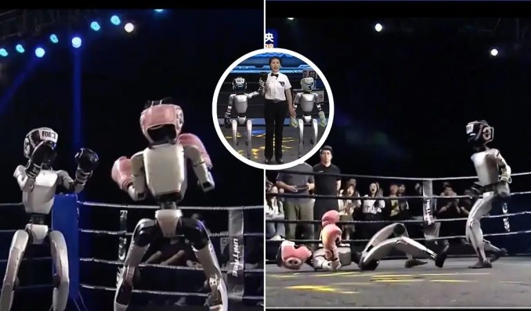 Dünyanın birinci insansı robot boks turnuvası gerçekleştirildi Dünyanın birinci insansı robot boks turnuvası gerçekleştirildi