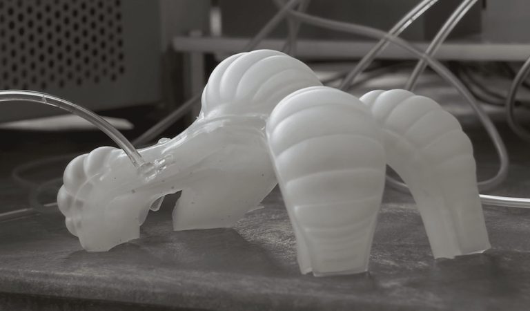 Robotik dünyasında yeni atılım: 3D yazıcıdan çıkar çıkmaz yürüyebilen yumuşak robotlar